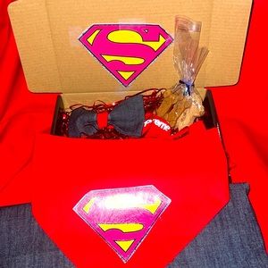 Super hero dog wear